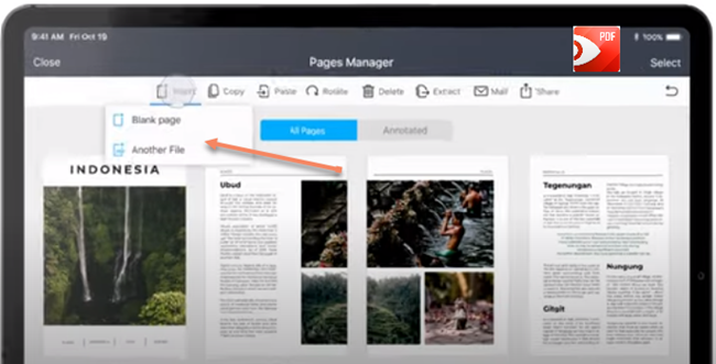 Page Manager