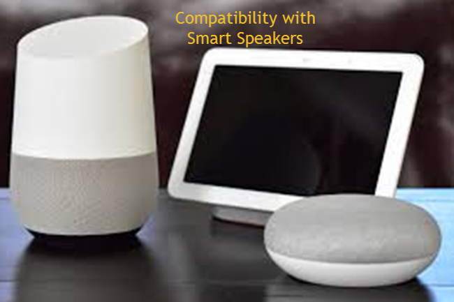 Compatibility with Smart Speakers